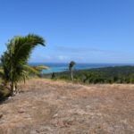 123303824_105102958077928_5542026073909042069_n