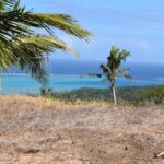 123359219_105102864744604_8138471941501810172_n