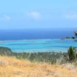 123366205_105104901411067_3643844844772985754_n 123366205_105104901411067_3643844844772985754_n