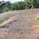 123393321_105103984744492_4050508433044341384_n