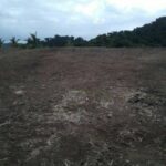 123418807_105104028077821_5368007323797675222_n 123418807_105104028077821_5368007323797675222_n