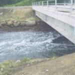 123438136_105049111416646_8579617748012806791_n