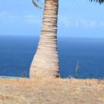 123439267_105105011411056_7390258006564749064_n 123439267_105105011411056_7390258006564749064_n