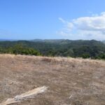 123445274_105103141411243_5786744425840267777_n