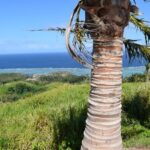 123472584_105102981411259_8700687959497187961_n