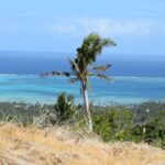 123498060_105105084744382_849487065434554107_n