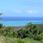 123514987_105105064744384_153564858704892058_n 123514987_105105064744384_153564858704892058_n