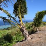 123524335_105102914744599_1925376024977543725_n 123524335_105102914744599_1925376024977543725_n