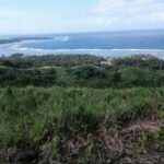 123564024_105104001411157_2710679601659119946_n