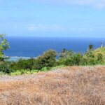 123568608_105105141411043_4010025306614653596_n 123568608_105105141411043_4010025306614653596_n