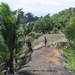 123569381_105101981411359_6807089593485387686_n