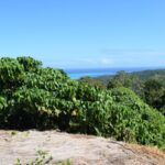 123602971_105103848077839_341758151942963152_n 123602971_105103848077839_341758151942963152_n