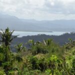 123617171_105103758077848_6335104499673225322_n