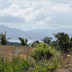 123632925_105103781411179_8553873075606197897_n