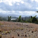 123650713_105103254744565_3808022203108895977_n 123650713_105103254744565_3808022203108895977_n