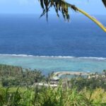 123678888_105105031411054_5206988370801546332_n 123678888_105105031411054_5206988370801546332_n