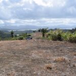 123684769_105103091411248_6772675030406242629_n