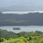 123710088_105105101411047_7778825323705207936_n