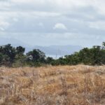 123710901_105103798077844_4154132936902729946_n 123710901_105103798077844_4154132936902729946_n