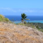 123712905_105102671411290_5551018320659711954_n