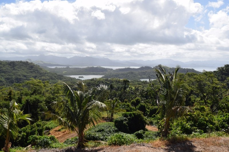 123720362_105103294744561_4825578380252581572_n