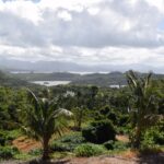 123720362_105103294744561_4825578380252581572_n