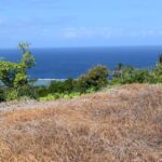 123726010_105102464744644_8974789276031784630_n