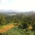 123764272_105101518078072_7760889333613770346_n