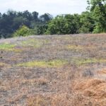 123772856_105102501411307_8112852642565219696_n 123772856_105102501411307_8112852642565219696_n