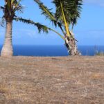 123786025_105102618077962_3846564549974878942_n 123786025_105102618077962_3846564549974878942_n