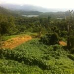 123799692_105101571411400_8598329588792623681_n