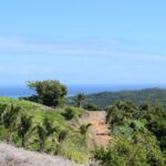 123800073_105102408077983_18371645728922760_n