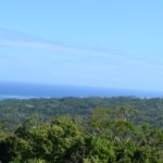 123837597_105104068077817_6008740851290093480_n 123837597_105104068077817_6008740851290093480_n