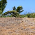 123858039_105102634744627_1759690768425568592_n