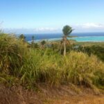 123926364_105099734744917_4092111696116760045_n