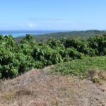 123928542_105103948077829_2398757817176060423_n 123928542_105103948077829_2398757817176060423_n