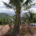 124014344_105103224744568_654748534503437467_n 124014344_105103224744568_654748534503437467_n