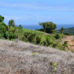 124035927_105102481411309_4713768527887110873_n 124035927_105102481411309_4713768527887110873_n