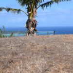 124076452_105102588077965_703581923085300444_n 124076452_105102588077965_703581923085300444_n