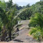 124307552_105102564744634_5036634836427249228_n 124307552_105102564744634_5036634836427249228_n