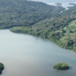 Capture 002 Capture 002