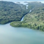 Capture 003 Capture 003