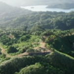 Capture 004 Capture 004