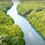 Capture 005 Capture 005