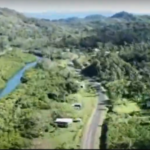 Capture 010 Capture 010