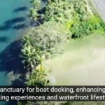 Capture 012 Capture 012