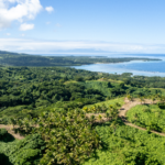 my-freehold-land-for-sale-vatudamu-estate-004